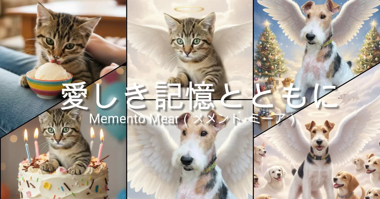 Mement Mear（メメントイ・ミーア）